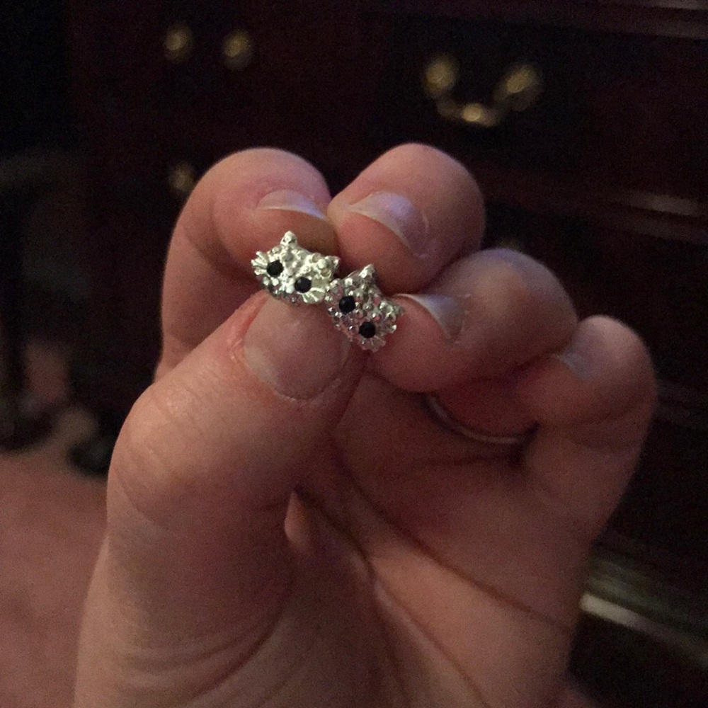 Cat Earrings